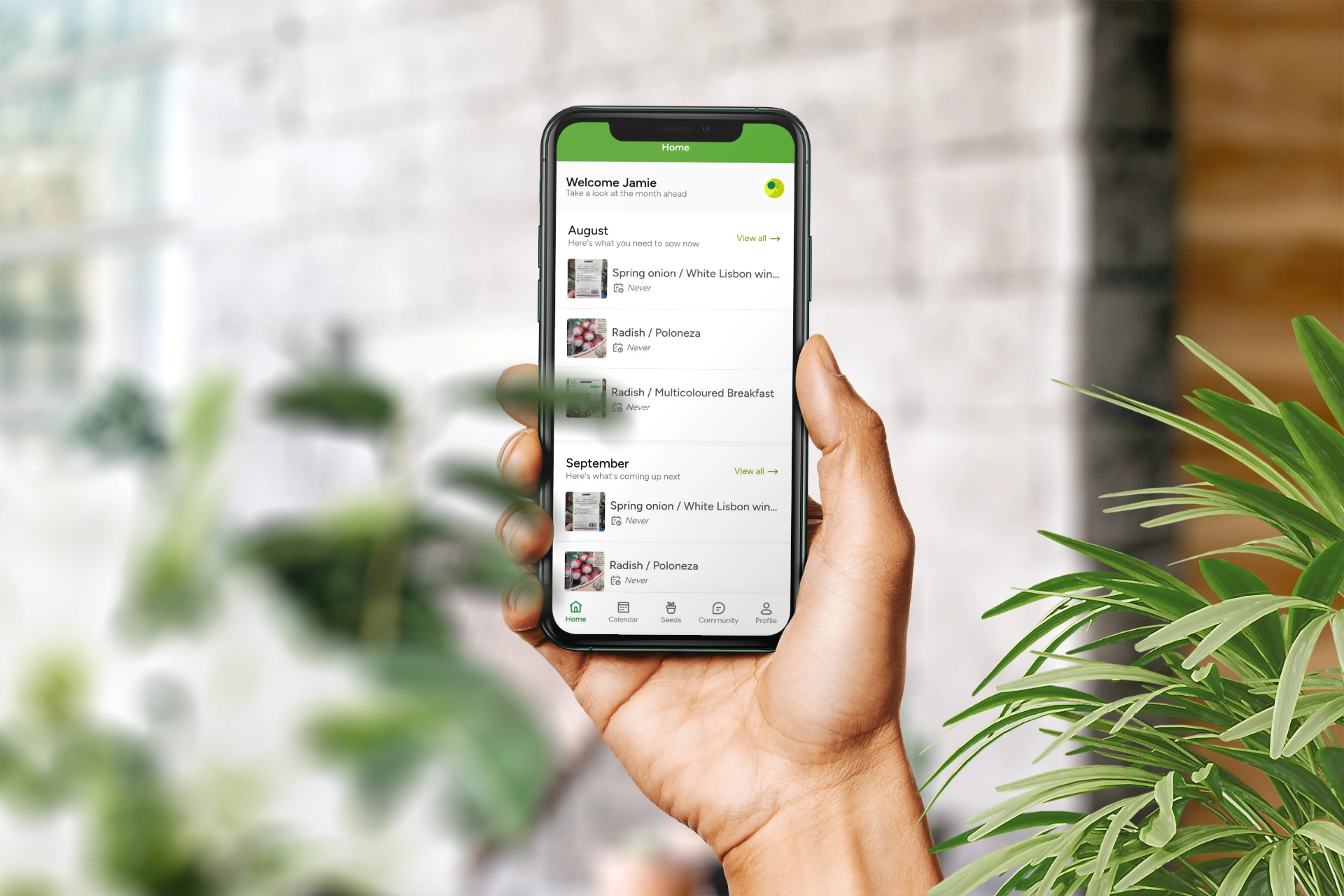 SeedSort interface preview
